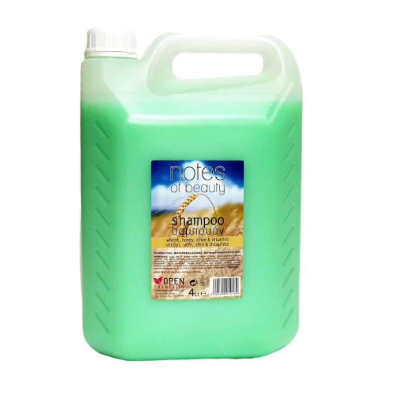 Natif Σαμπουάν 4L